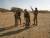Inspection des armes