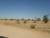 C'est le Sahel