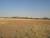Le paysage