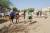 Tournoi de pétanque